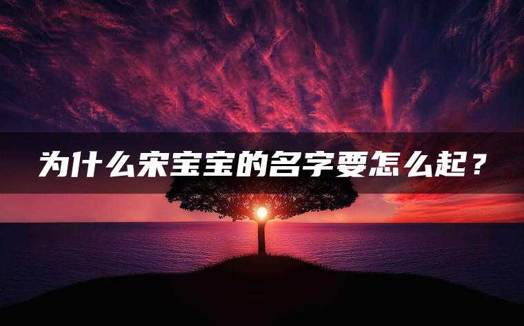 为什么宋宝宝的名字要怎么起？