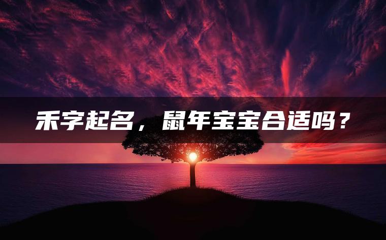 禾字起名，鼠年宝宝合适吗？