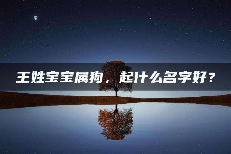 王姓宝宝属狗，起什么名字好？