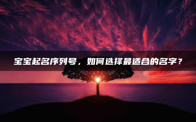 宝宝起名序列号，如何选择最适合的名字？