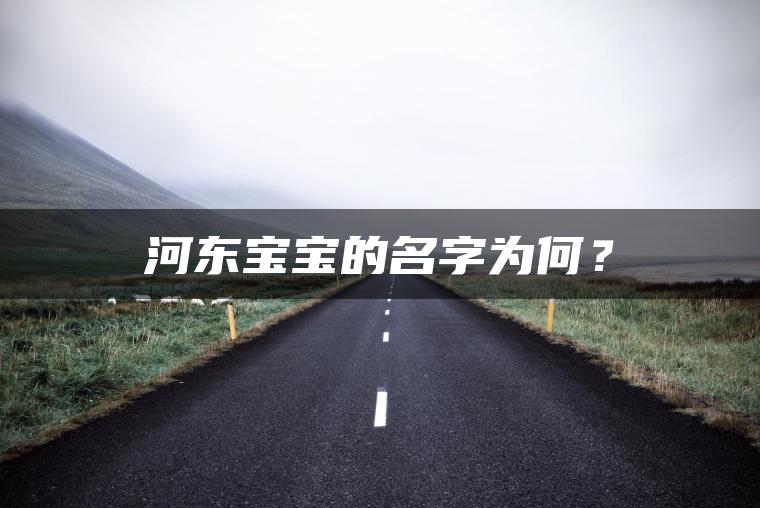 河东宝宝的名字为何？