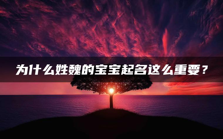 为什么姓魏的宝宝起名这么重要？