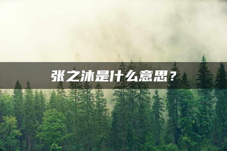 张之沐是什么意思？