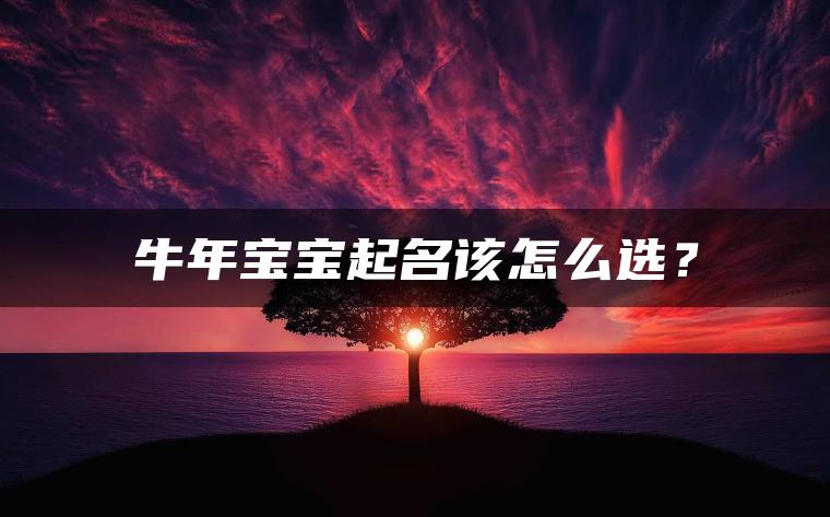 牛年宝宝起名该怎么选？