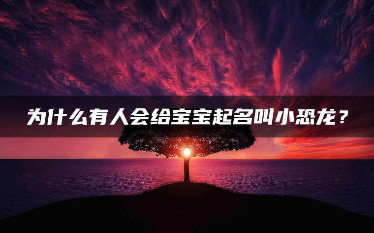 为什么有人会给宝宝起名叫小恐龙？