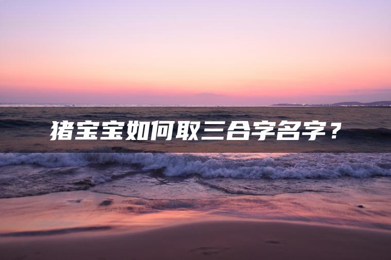 猪宝宝如何取三合字名字？