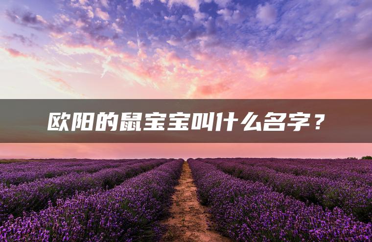 欧阳的鼠宝宝叫什么名字？