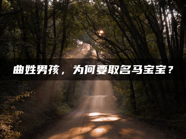 曲姓男孩，为何要取名马宝宝？