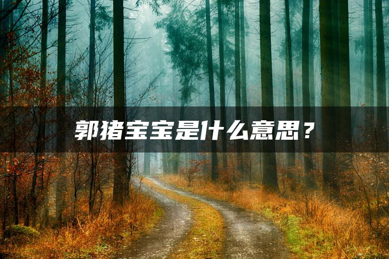 郭猪宝宝是什么意思？