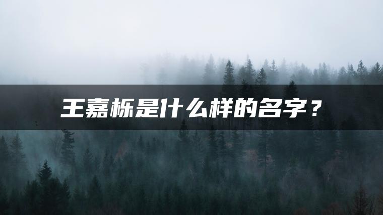 王嘉栎是什么样的名字？