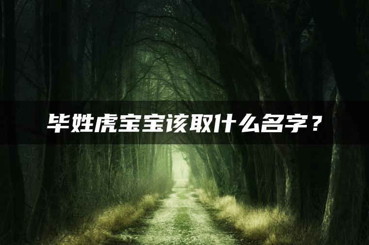 毕姓虎宝宝该取什么名字？