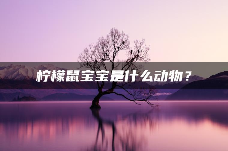 柠檬鼠宝宝是什么动物？