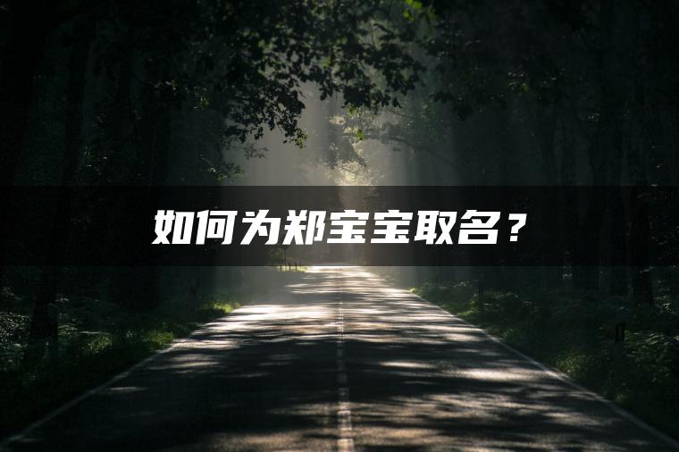 如何为郑宝宝取名？