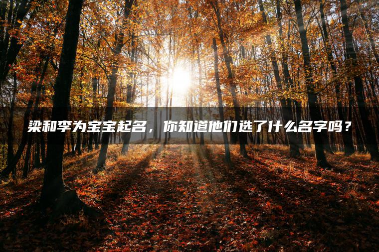 梁和李为宝宝起名，你知道他们选了什么名字吗？