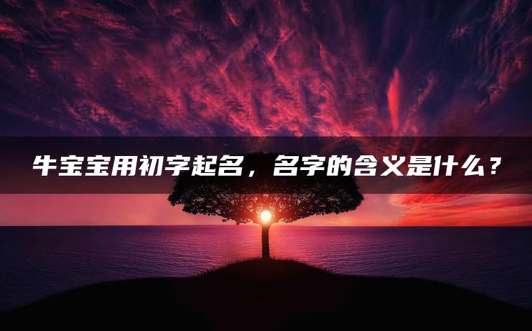 牛宝宝用初字起名，名字的含义是什么？