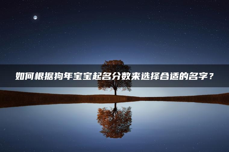 如何根据狗年宝宝起名分数来选择合适的名字？