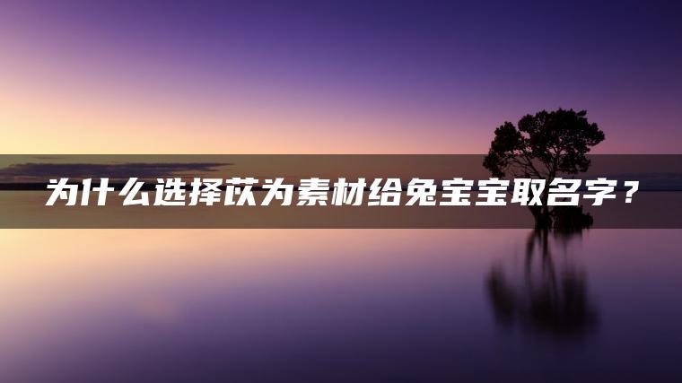 为什么选择苡为素材给兔宝宝取名字？