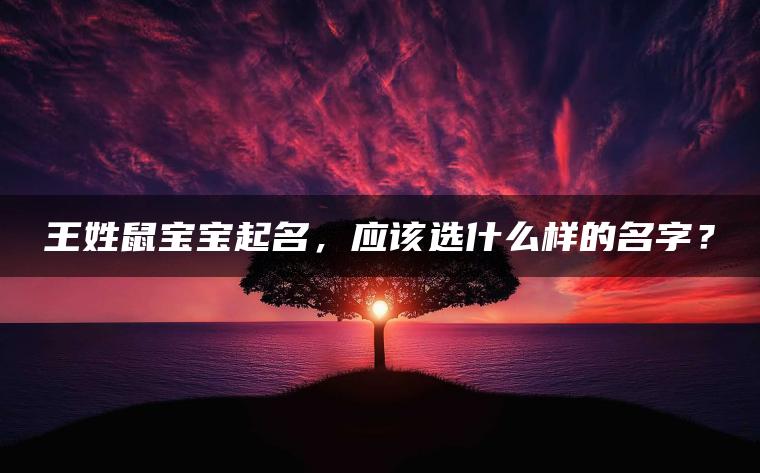 王姓鼠宝宝起名，应该选什么样的名字？