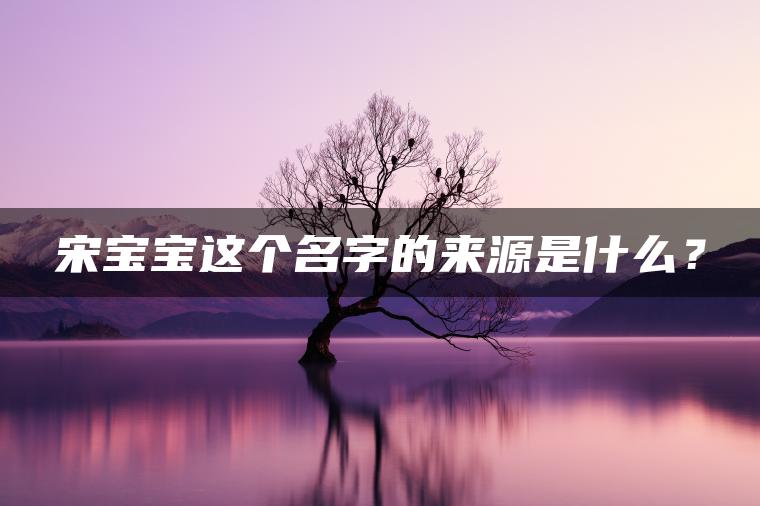 宋宝宝这个名字的来源是什么？