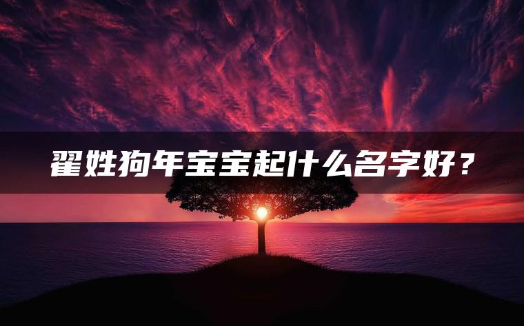 翟姓狗年宝宝起什么名字好？