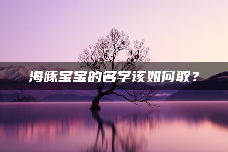 海豚宝宝的名字该如何取？