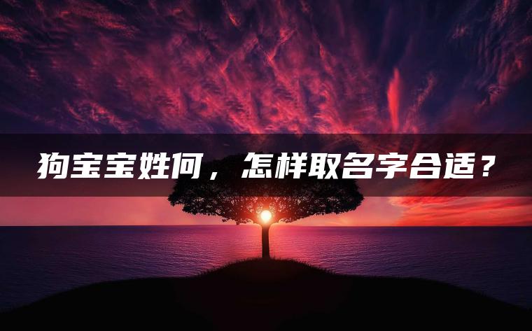 狗宝宝姓何，怎样取名字合适？