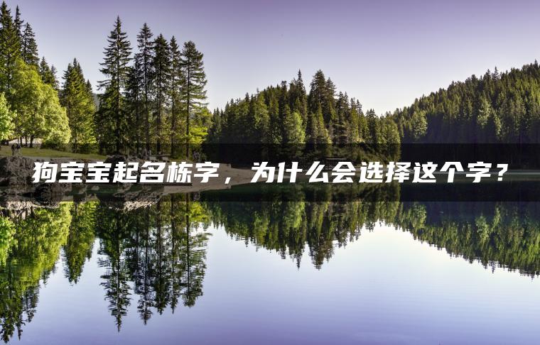 狗宝宝起名栋字，为什么会选择这个字？