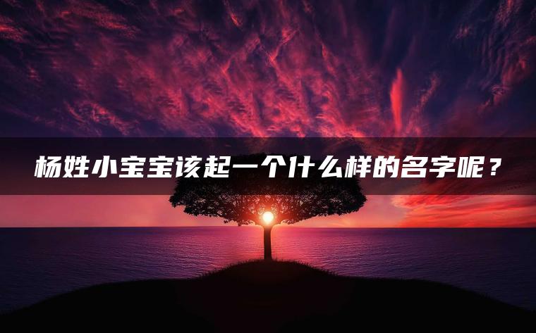 杨姓小宝宝该起一个什么样的名字呢？