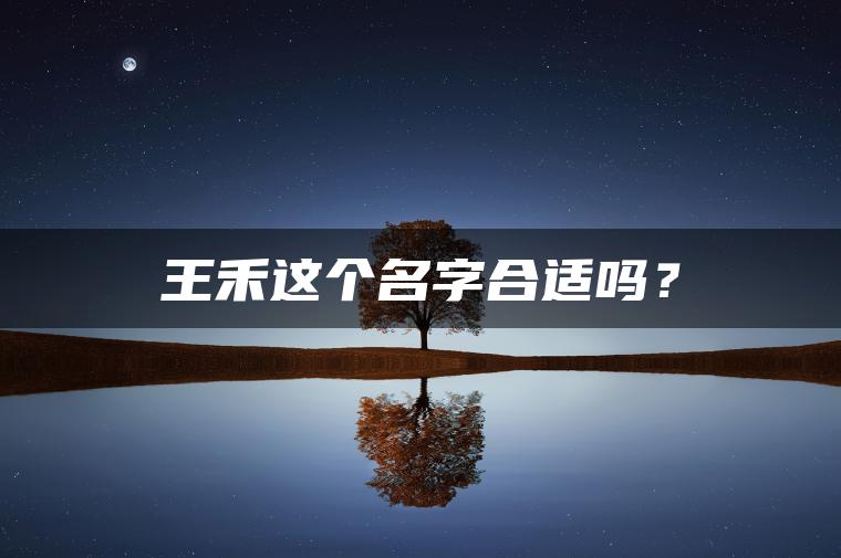 王禾这个名字合适吗？