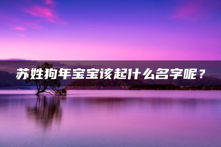 苏姓狗年宝宝该起什么名字呢？