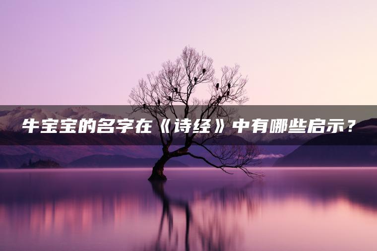 牛宝宝的名字在《诗经》中有哪些启示？