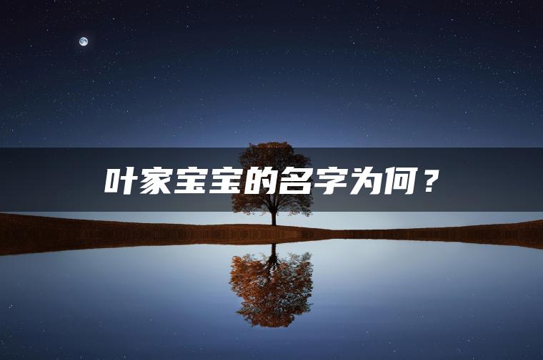 叶家宝宝的名字为何？