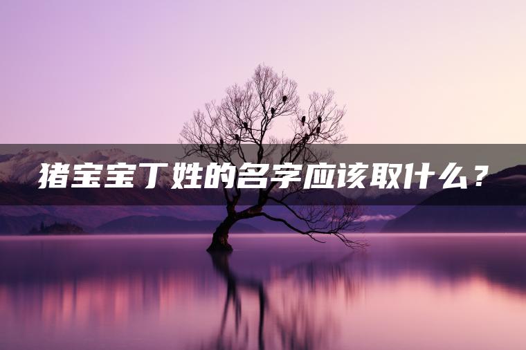 猪宝宝丁姓的名字应该取什么？