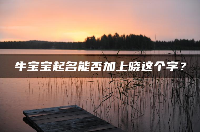 牛宝宝起名能否加上晓这个字？