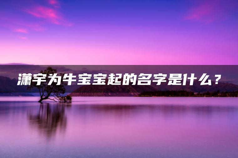 潇宇为牛宝宝起的名字是什么？