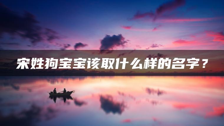 宋姓狗宝宝该取什么样的名字？