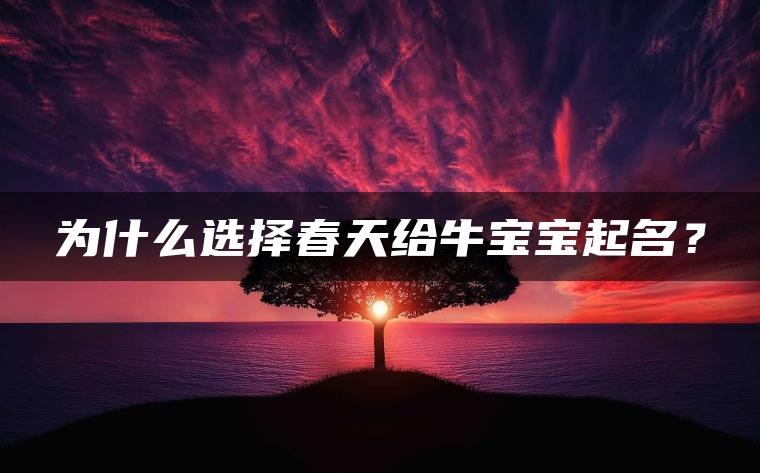 为什么选择春天给牛宝宝起名？