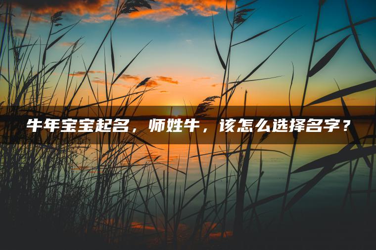 牛年宝宝起名，师姓牛，该怎么选择名字？