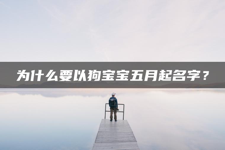 为什么要以狗宝宝五月起名字？