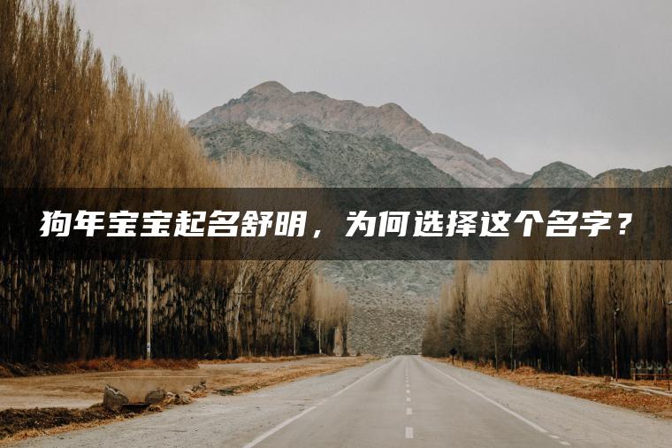 狗年宝宝起名舒明，为何选择这个名字？