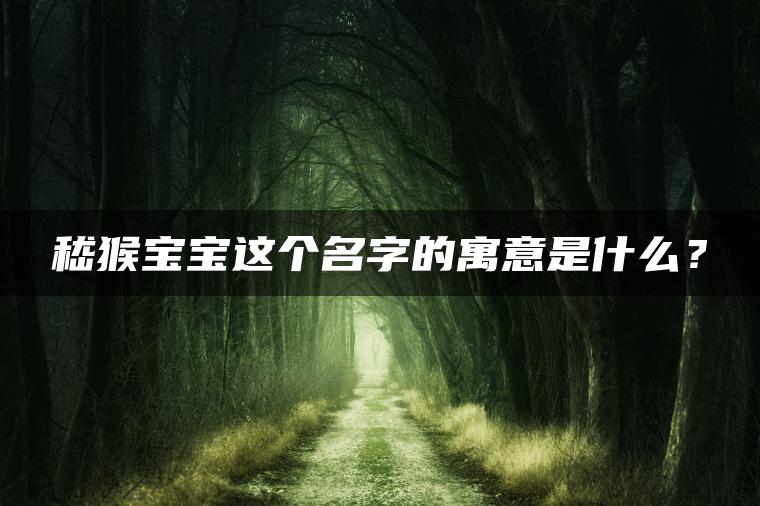 嵇猴宝宝这个名字的寓意是什么？