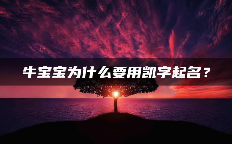 牛宝宝为什么要用凯字起名？