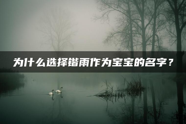 为什么选择锴雨作为宝宝的名字？