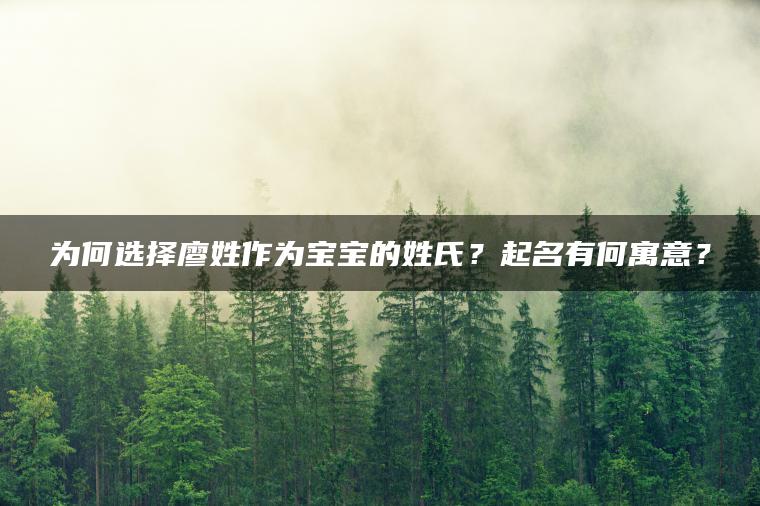 为何选择廖姓作为宝宝的姓氏？起名有何寓意？