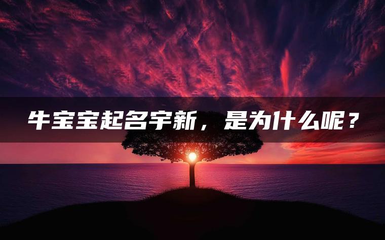 牛宝宝起名宇新，是为什么呢？