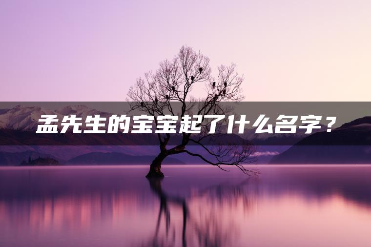 孟先生的宝宝起了什么名字？