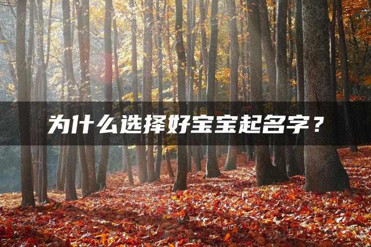 为什么选择好宝宝起名字？