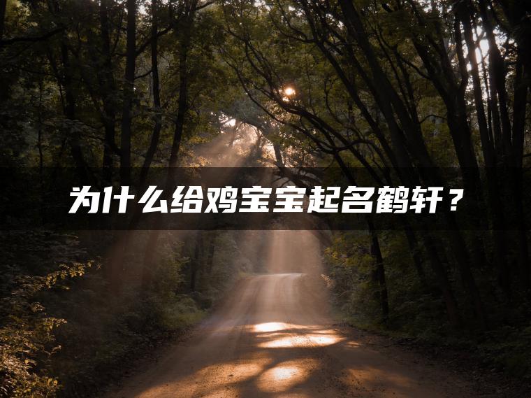 为什么给鸡宝宝起名鹤轩？