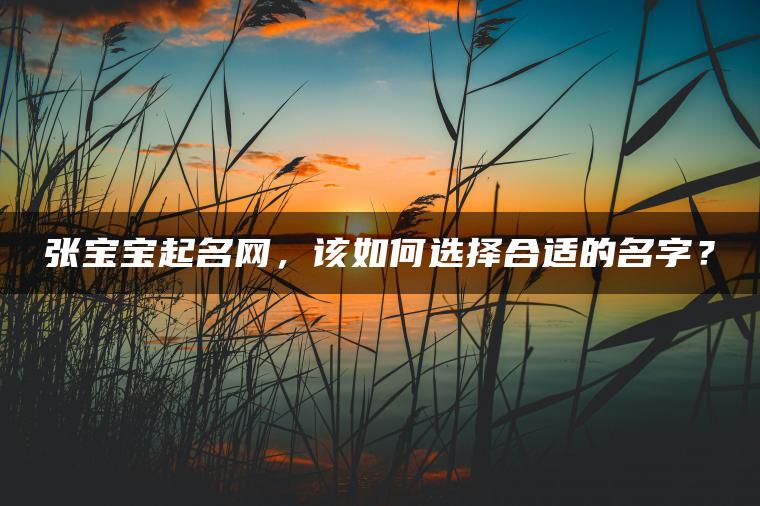 张宝宝起名网，该如何选择合适的名字？