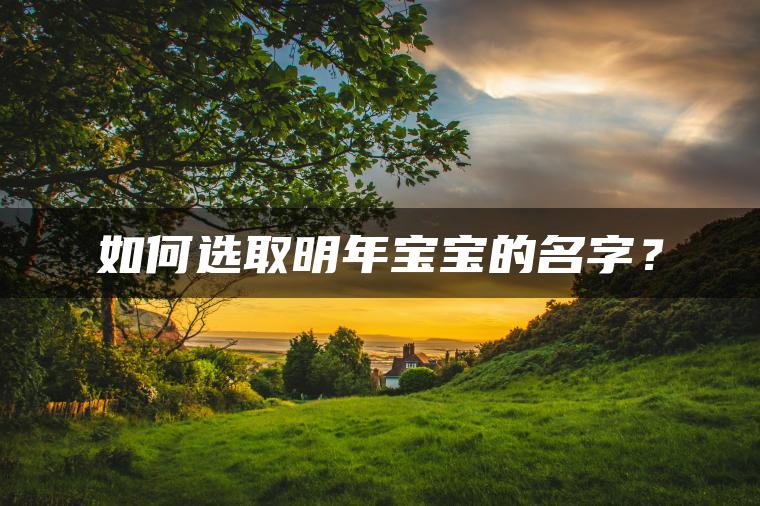 如何选取明年宝宝的名字？